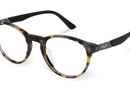 VPLE35 Police® / Matte Havana (3KAM) / 50-20-145